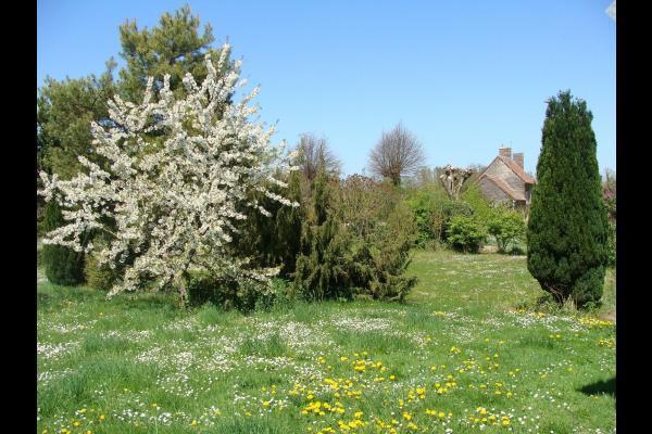 Villa La Cerisaie Ferreux Esterno foto