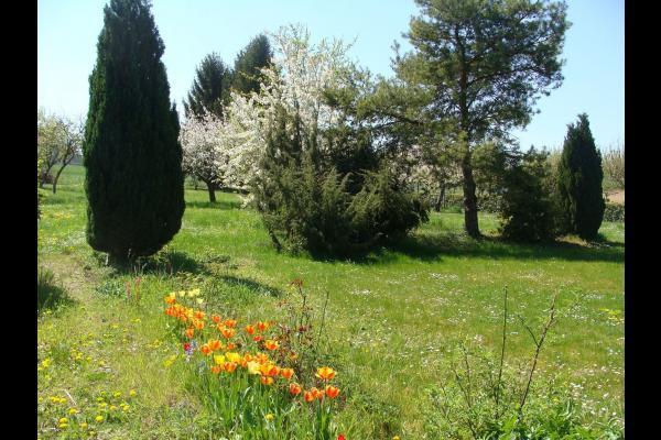 Villa La Cerisaie Ferreux Esterno foto